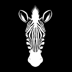 Das Albino Zebra